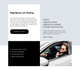 Projekt Witryny Dla Largest Car-Sharing