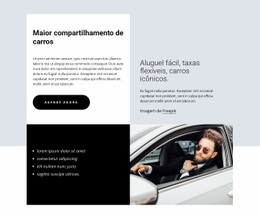 Largest Car-Sharing - Modelo De Uma Página