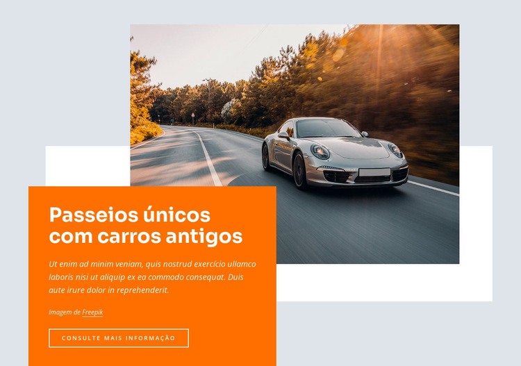 Unique tours with vintage cars Landing Page