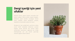 Ev Dükkanı Için Site Şablonu