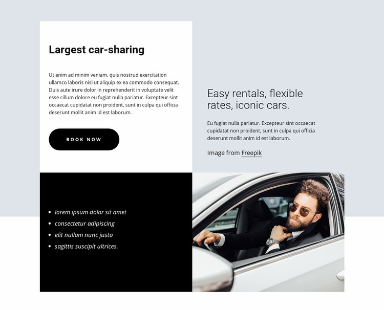 Largest car-sharing Website Mockup