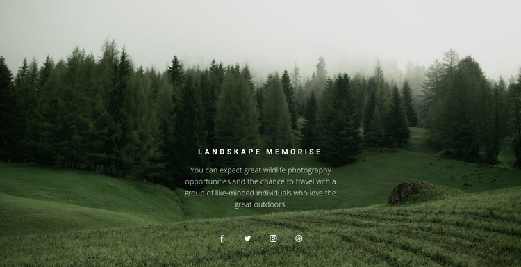Forest landscape CSS Template