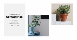 Contactos De La Tienda De Inicio - Diseñado Profesionalmente