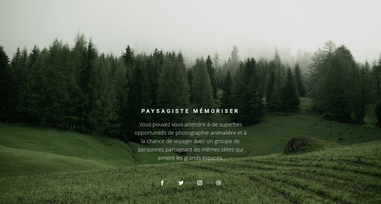 Paysage forestier Modèle de site Web