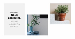 Contacts Du Magasin D'Accueil - Modèle HTML D'Une Page