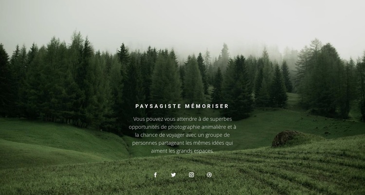 Paysage forestier Modèle d'une page