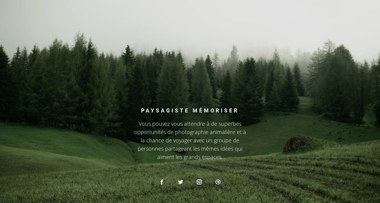 Paysage forestier Page de destination