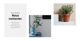 Contacts Du Magasin D'Accueil - Thème WordPress Moderne