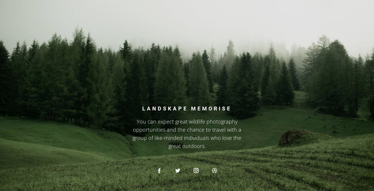 Forest landscape Html Website Builder