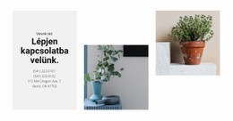 Otthoni Bolt Elérhetőségei – Professzionális Tervezés