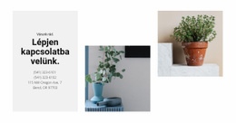 Prémium Webhelytervezés Otthoni Bolt Elérhetőségei Számára