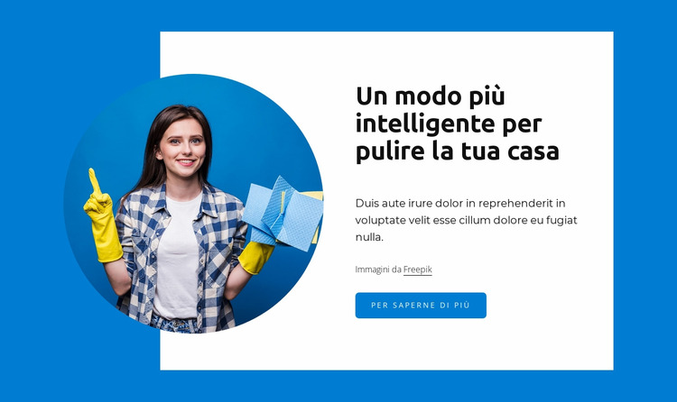 Smarter way to clean home Modello Joomla