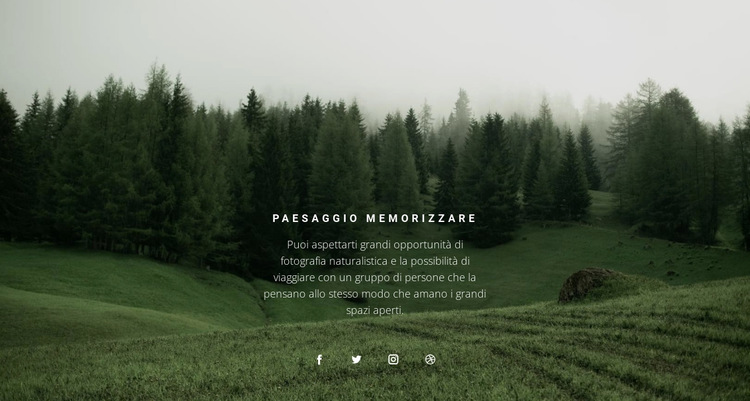 Paesaggio forestale Modello di sito Web