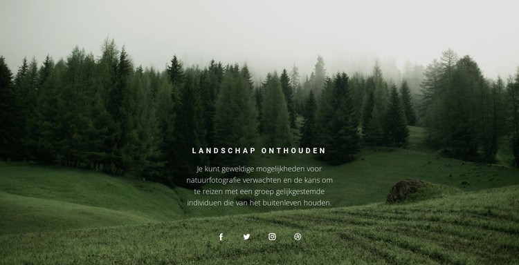 Boslandschap Website ontwerp