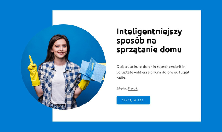 Smarter way to clean home Szablon witryny sieci Web