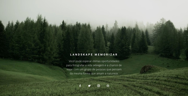 Paisagem florestal Landing Page