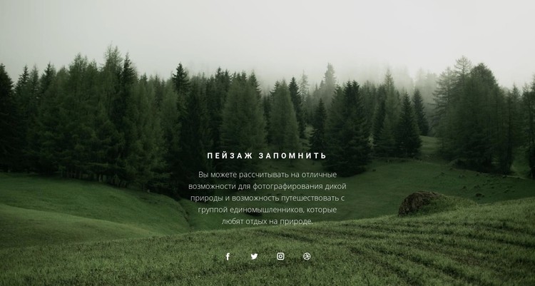 Лесной пейзаж CSS шаблон