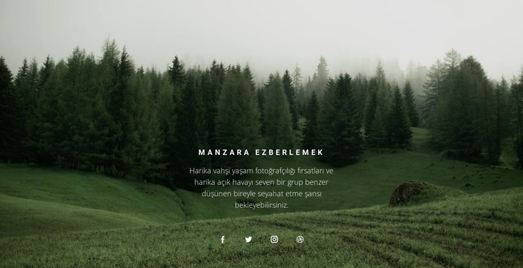 Orman manzarası Web Sitesi Mockup'ı