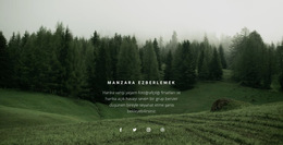 Orman Manzarası - Açılış Sayfası