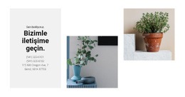 Ana Mağaza Kişileri - Profesyonel Web Sitesi Tasarımı