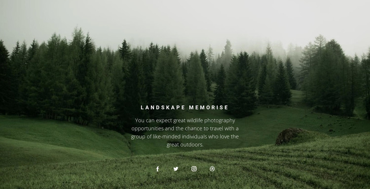 Forest landscape Web Design
