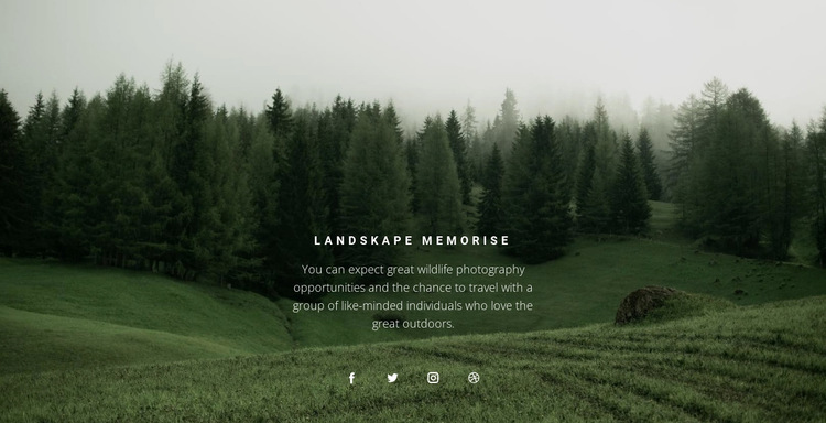 Forest landscape Website Builder Templates