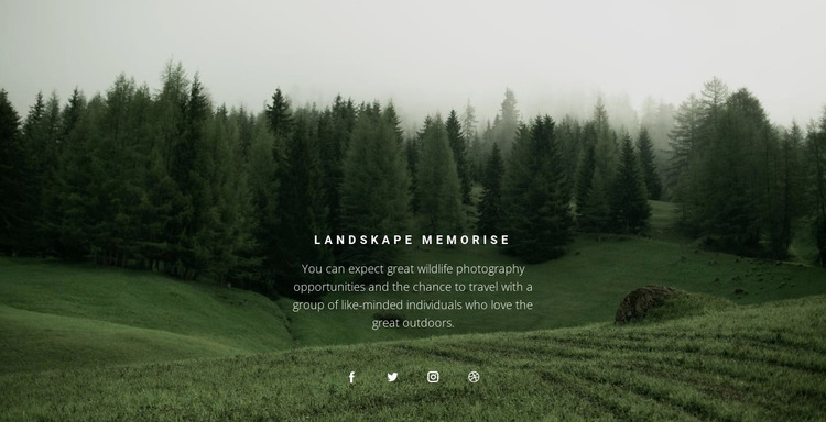 Forest landscape Website Mockup