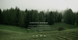 Forest Landscape Product For Users