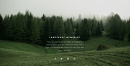 Site Template For Forest Landscape
