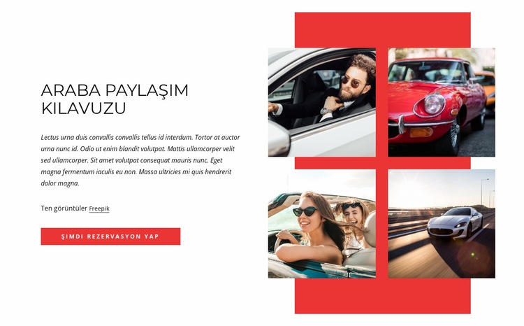 Car-sharing guide Bir Sayfa Şablonu