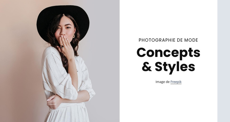 Concepts and styles Thème WordPress