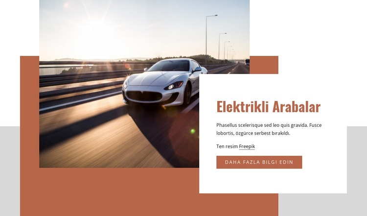 Electric cars Web Sitesi Mockup'ı