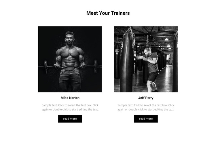 Meet your trainers Homepage Design