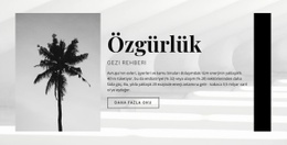 Ücretsiz Seyahatiniz - Özel Web Sitesi Tasarımı