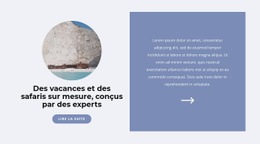 Voyager Pendant Une Pandémie - Page De Destination Prête À L'Emploi