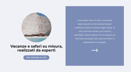 Viaggiare Durante Una Pandemia - Tema WordPress Facile Da Usare