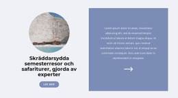 Reser Under En Pandemi - Anpassningsbar Mall