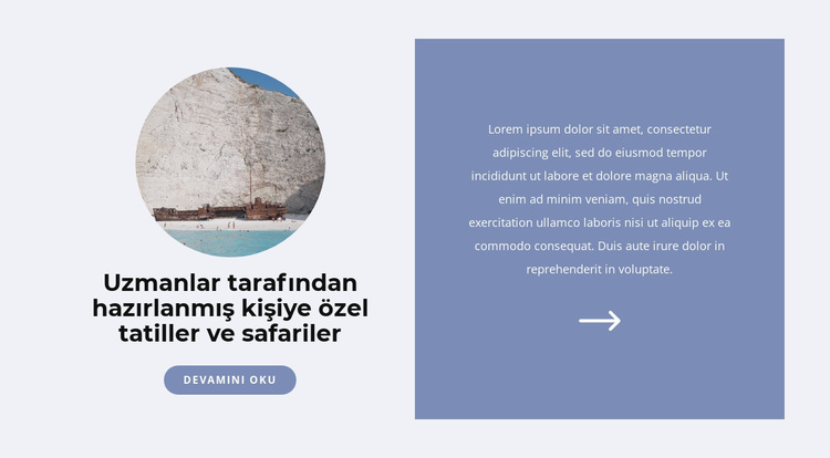 Pandemi sırasında seyahat etmek WordPress Teması