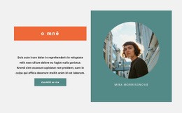 O Mém Případu – Jednoduchá Šablona Webu