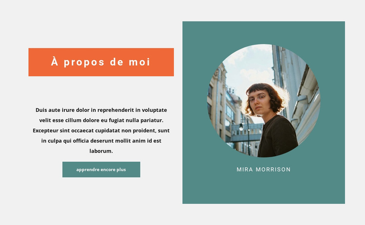 A propos de mon cas Thème WordPress