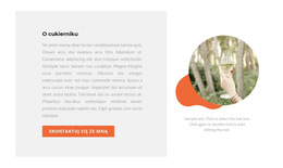 Profesjonalne Narzędzia Dla Nasz Szef Kuchni