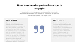 Opinion Honnête - Modèle De Page Web