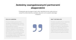 Szczera Opinia Czysty I Minimalny Szablon