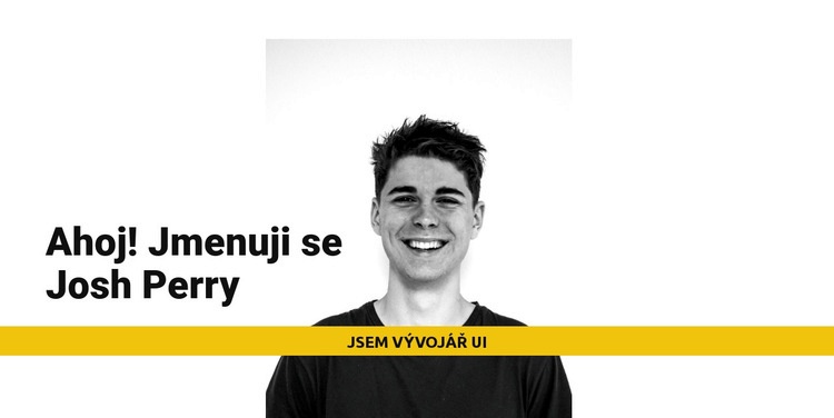 Jsem Josh Perry Šablona CSS