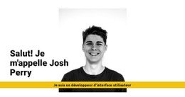 Fonctionnalité De Mise En Page De Thème Pour Je Suis Josh Perry