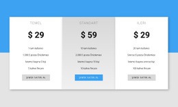 Bizim Fiyatlandırmamız - En Iyi Web Sitesi Modeli