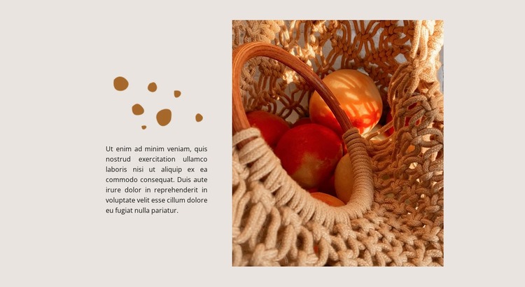 Autumn vitamins Squarespace Template Alternative