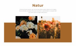 Natur Schenkt Schönheit - HTML Builder Drag And Drop