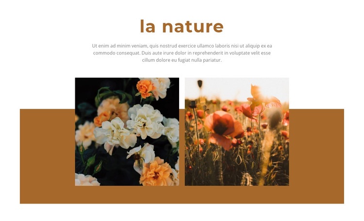 La nature donne de la beauté Maquette de site Web