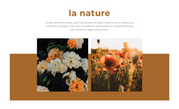 La Nature Donne De La Beauté : Modèle De Site Web Simple